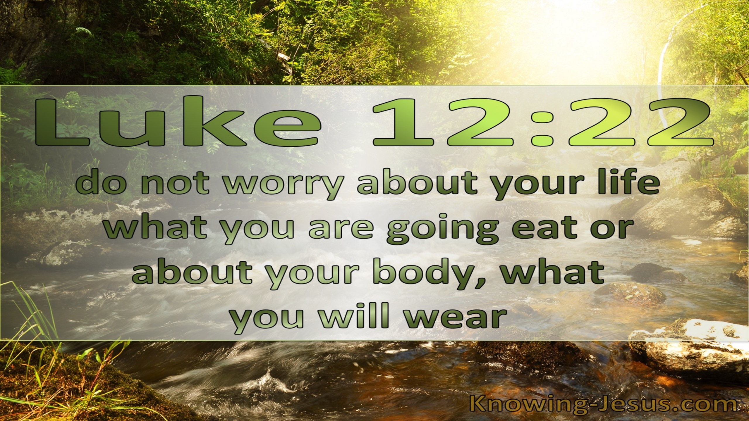 Luke 12:22 Do Not Worry About Your Life (sage)